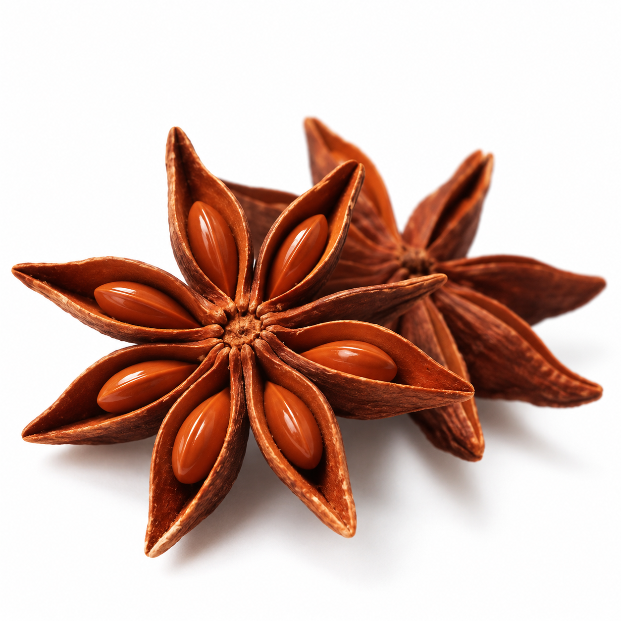 Star Anise